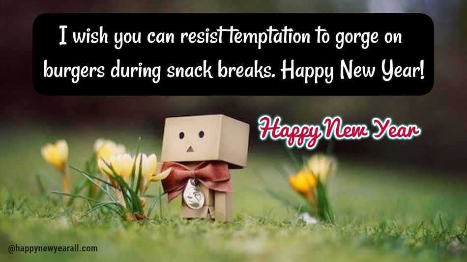 Funny New Year Quotes and Sayings
